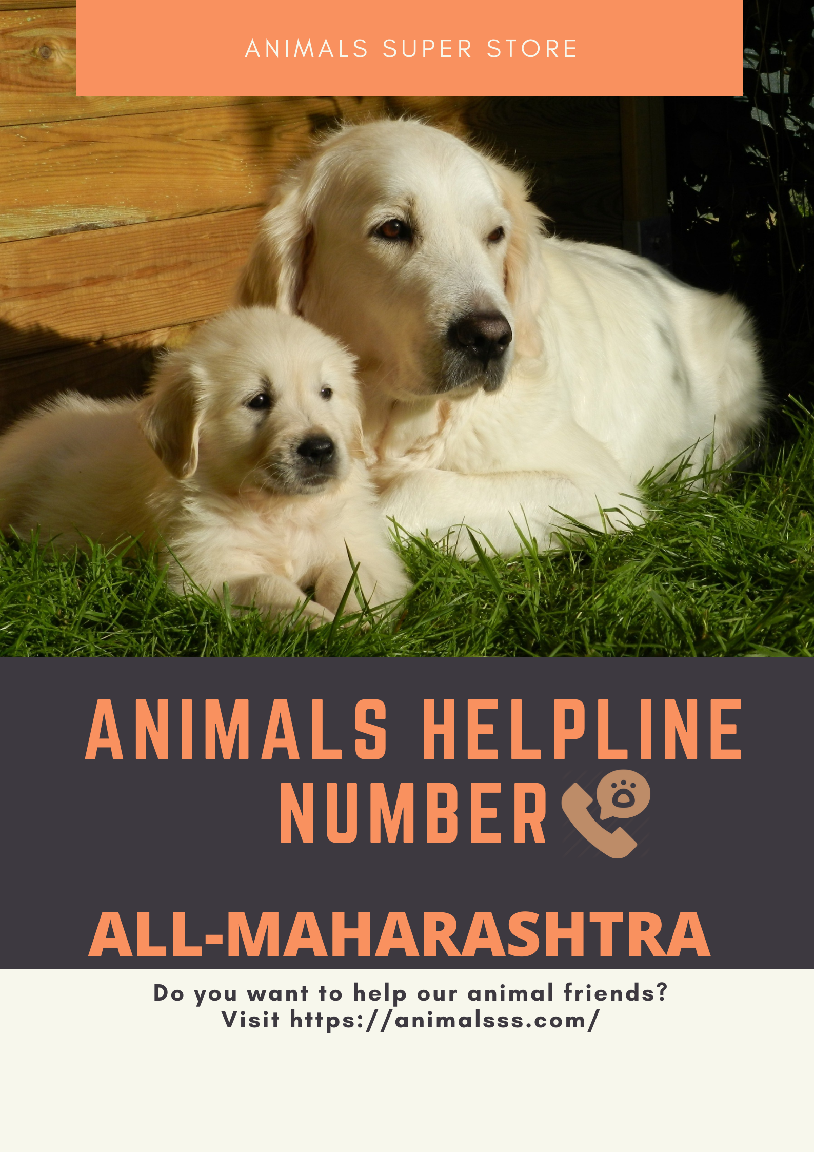 Animals Helpline In Maharashtra | Animals Super Store