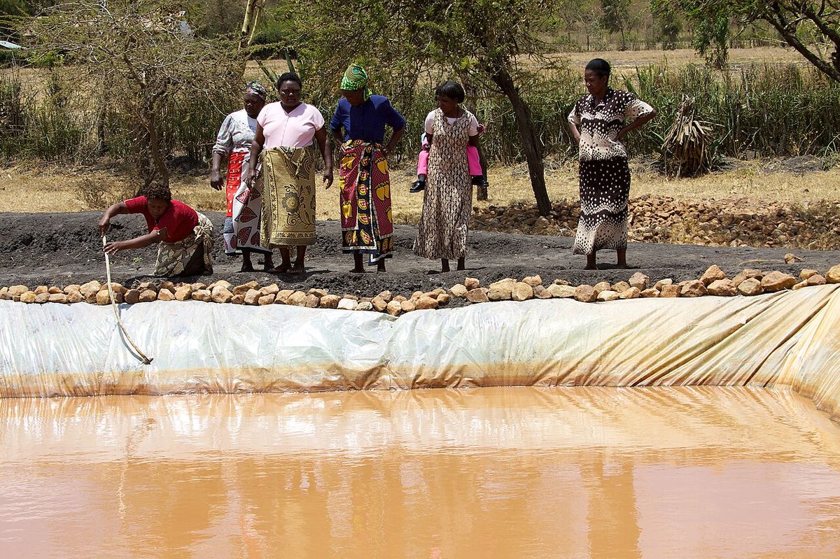 Fish Farming in Kenya: A Complete Guide to Aquaculture