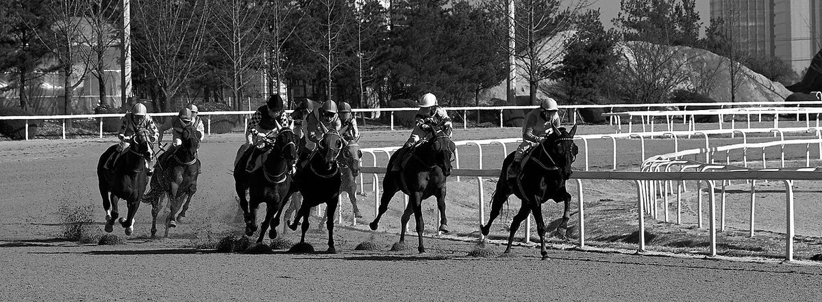 How Fast Can a Horse Run? What Every Farmer Needs to Know