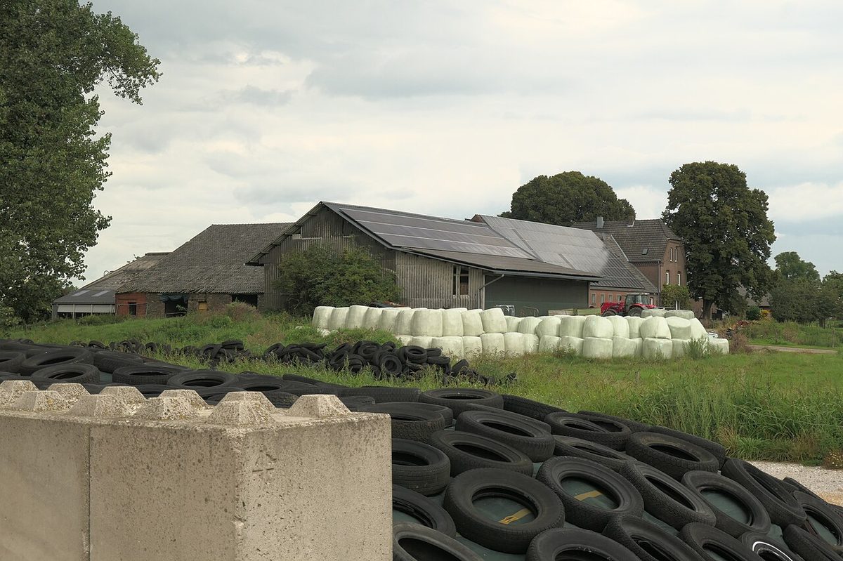 Kalkar-Bylerward Silage PM230828 02