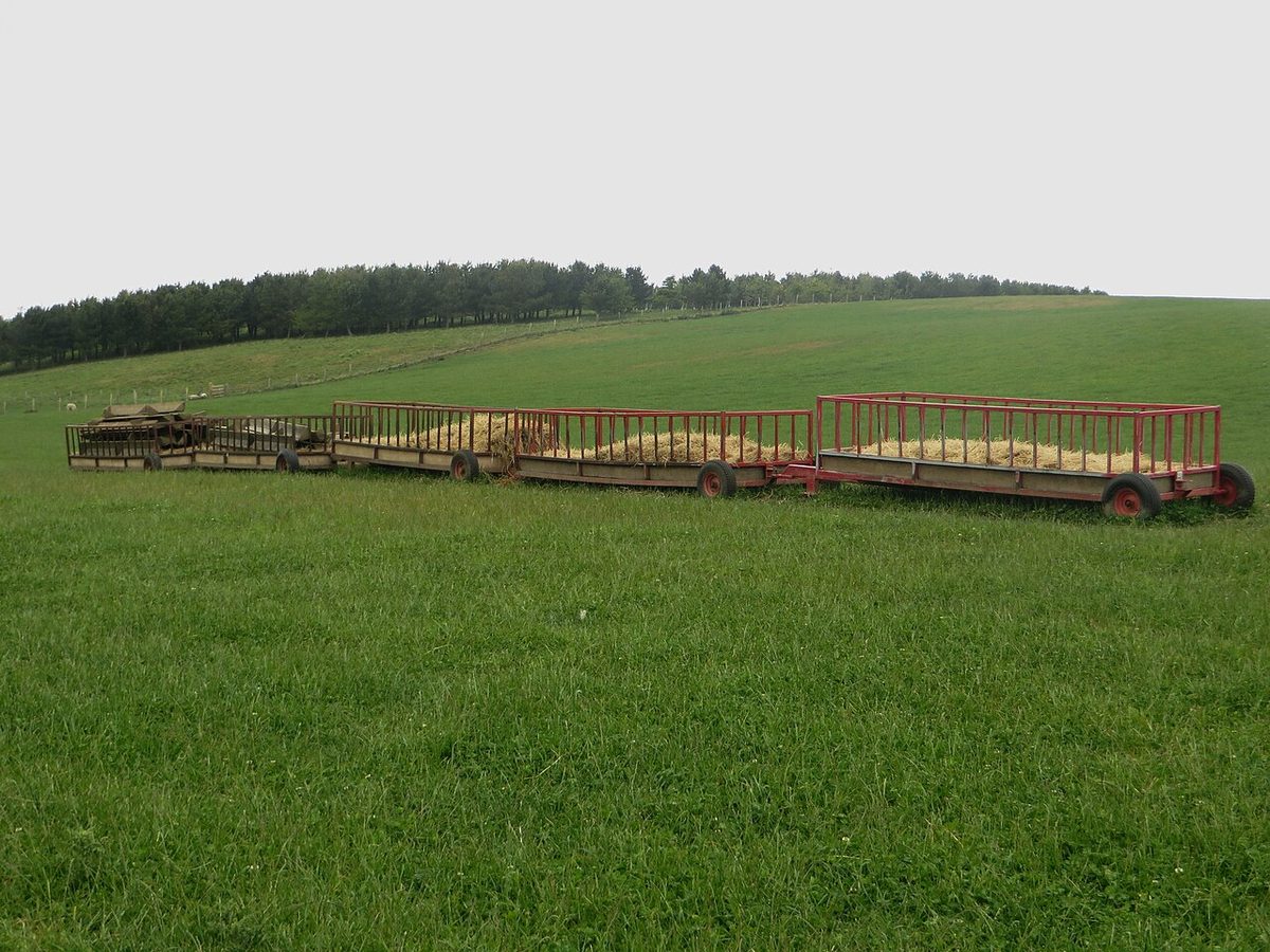 Livestock feed trailers at Lumsdaine