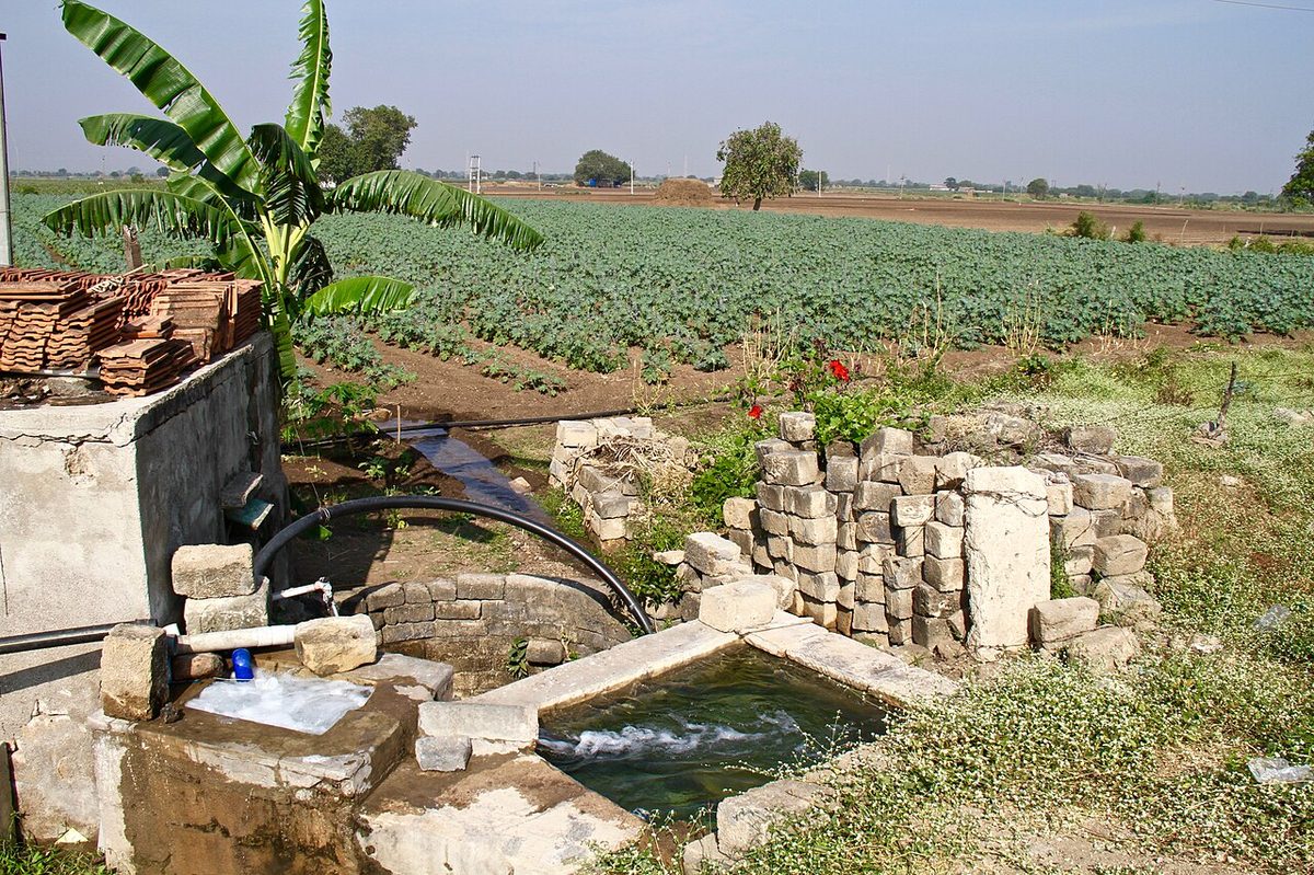 Ground water tubewell irrigation crop Gujarat India