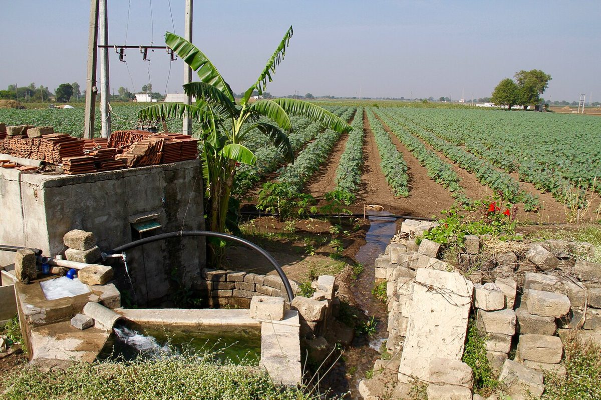 Ground water tubewell irrigation horticulture Gujarat India