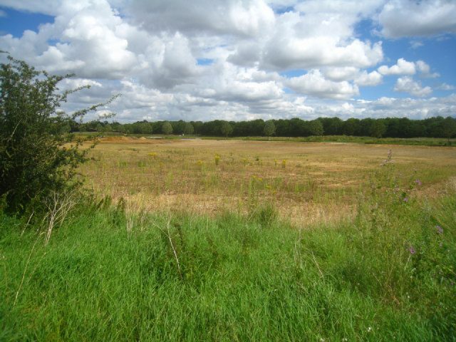 For the record