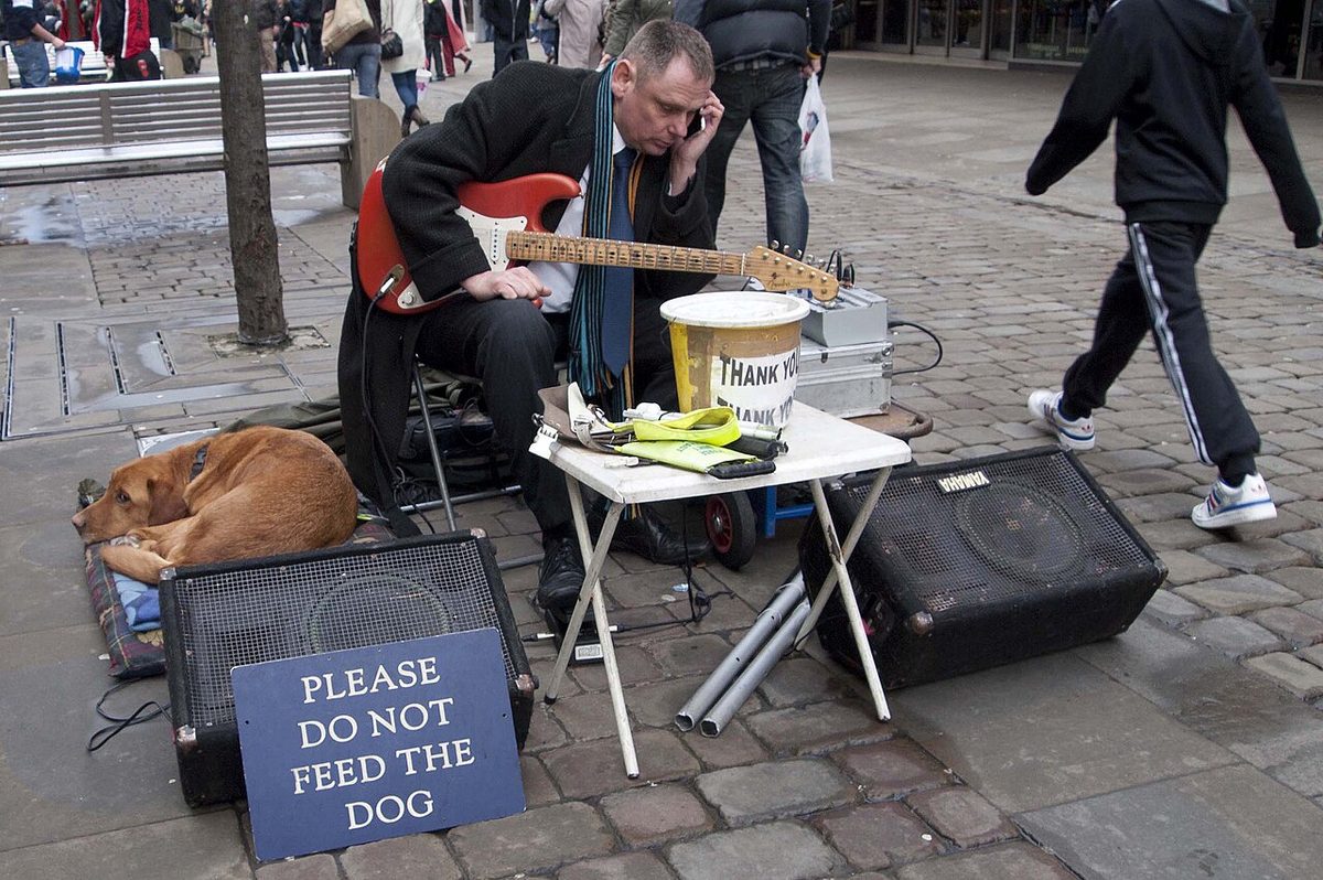 Do not feed the dog