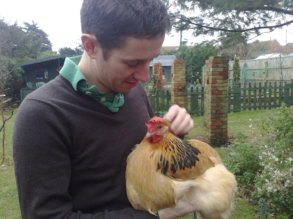 Well-behaved chicken