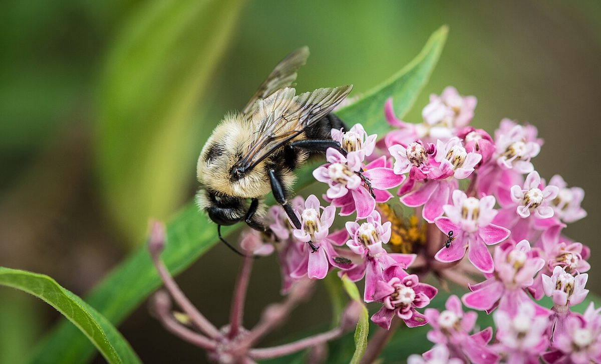 20180803-AMS-LSC-0749