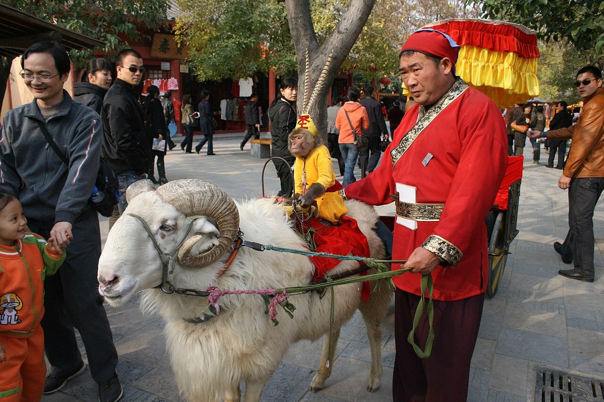 2008 Millennium City Park Goat Cart Ride with Monkey Driver