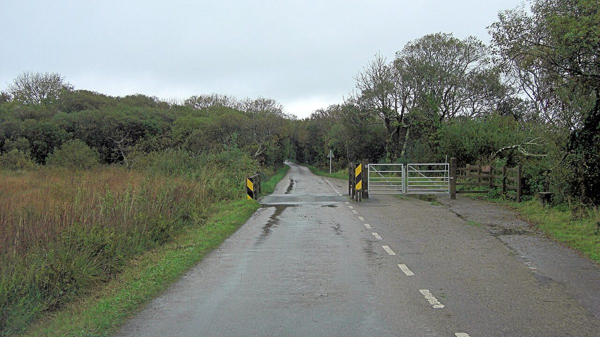 Cattle grid on Main Dale