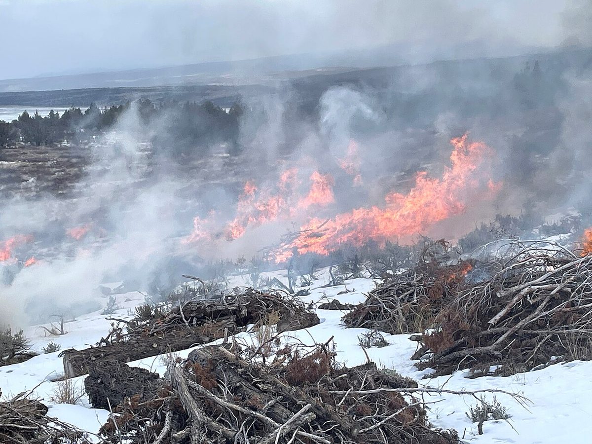 Prescribed fire at Dry Cow