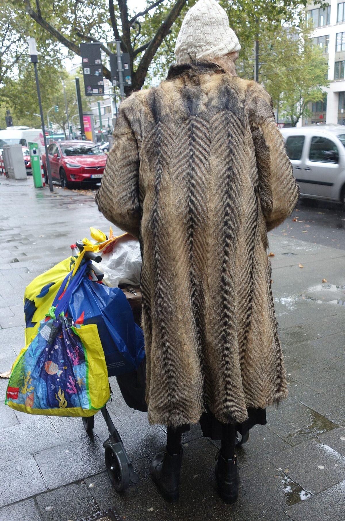 Domestic dog fur coat, Düsseldorf, September 2024