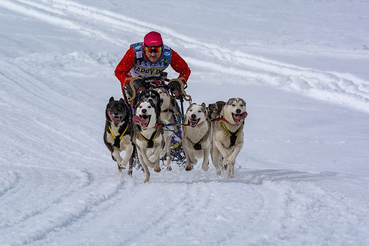 Inzell 2017 Kat A1 ZBYSZEK Kunert -9513