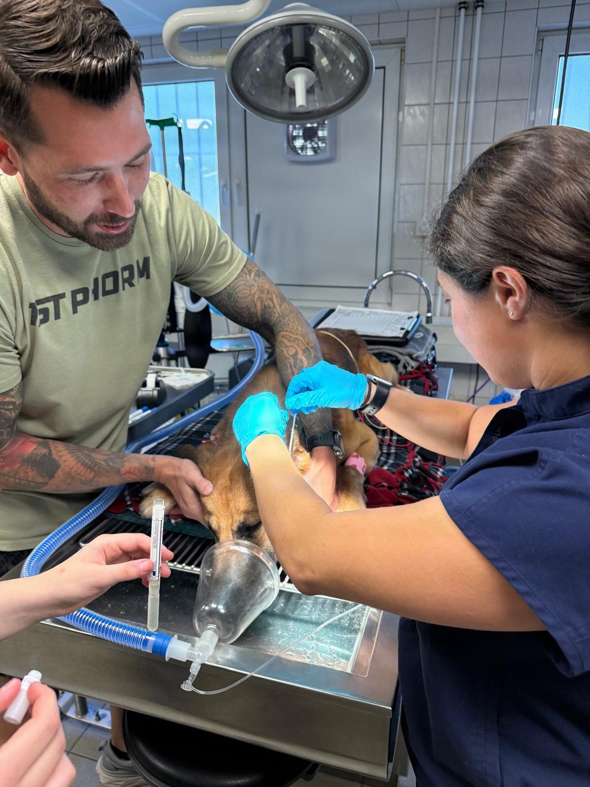 Operational Collaboration Effort Between WRAIR-EME and VMCE on AMR Surveillance in U S MWDs