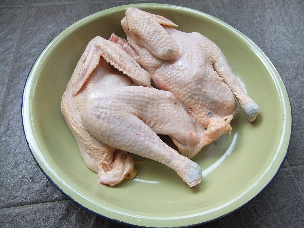 Ayam kampung free range chicken meat Indonesia