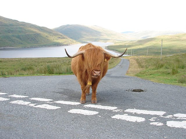 It's OK - you just stand there, I'll make my way around you^