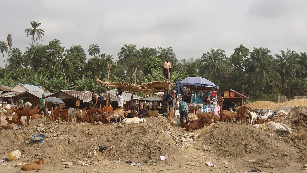 20141219-02 Goat market - Mbiama
