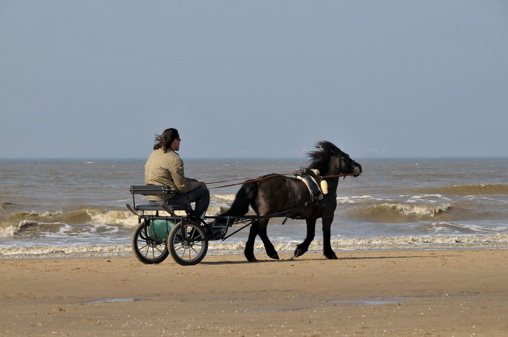 An Afternoon At The Beach