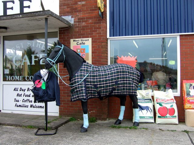 Horse-equin^