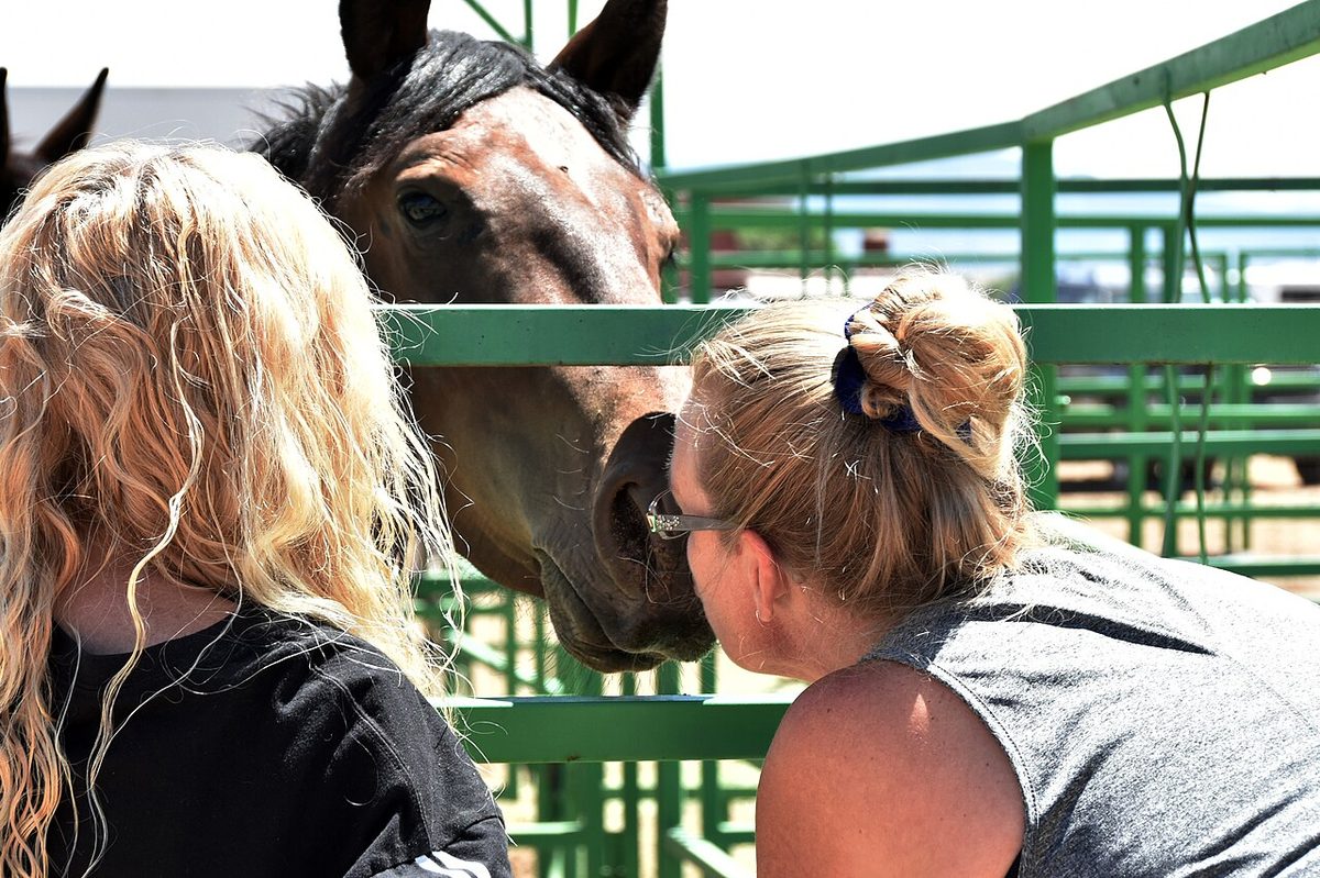 A woman touches her nose to a horse