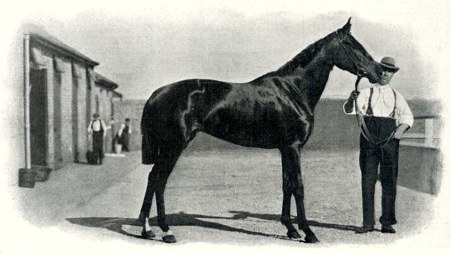 Aida (horse)