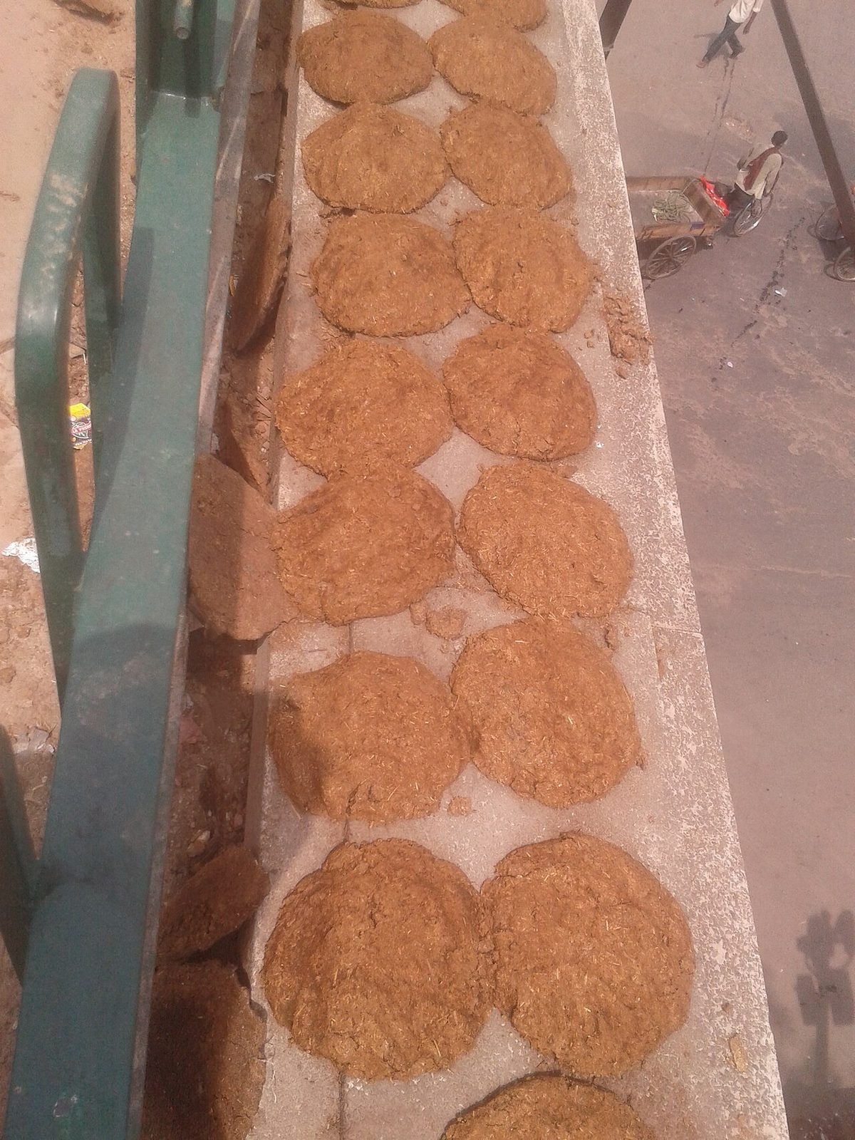 Cow dung dry 01