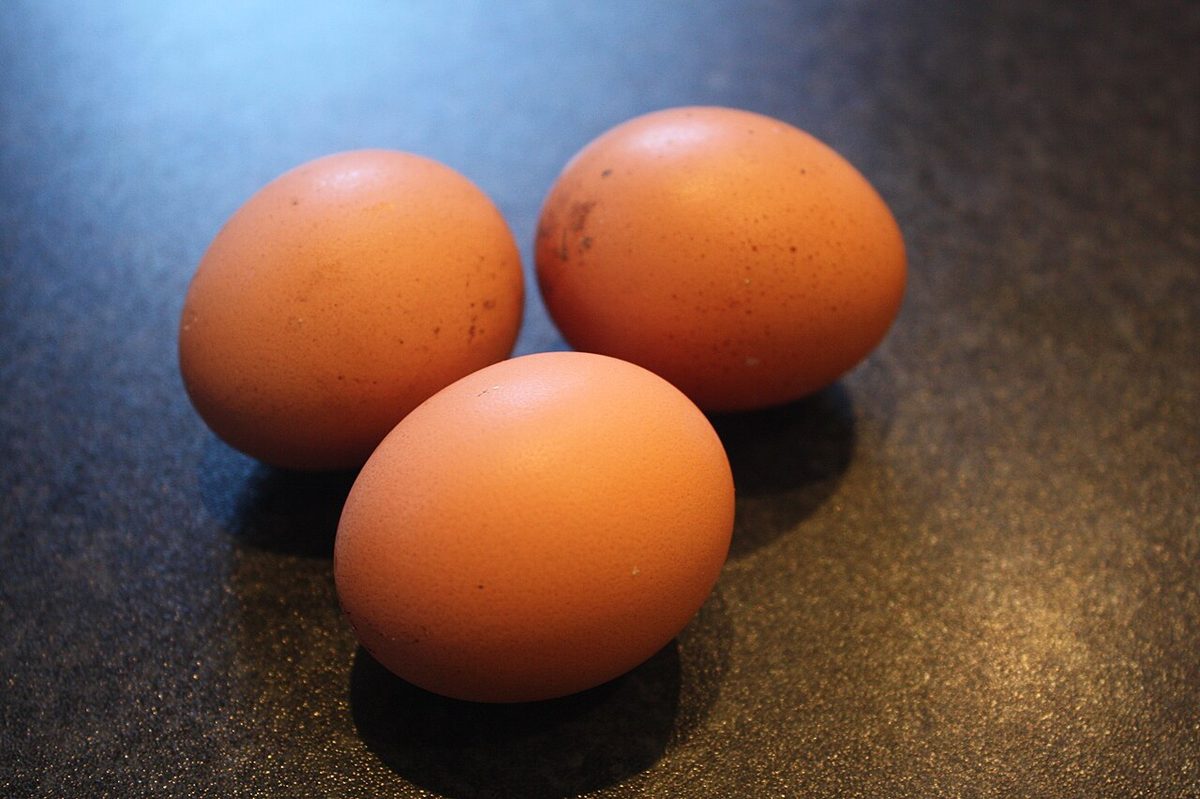 Eggs - Home Grown (or laid)