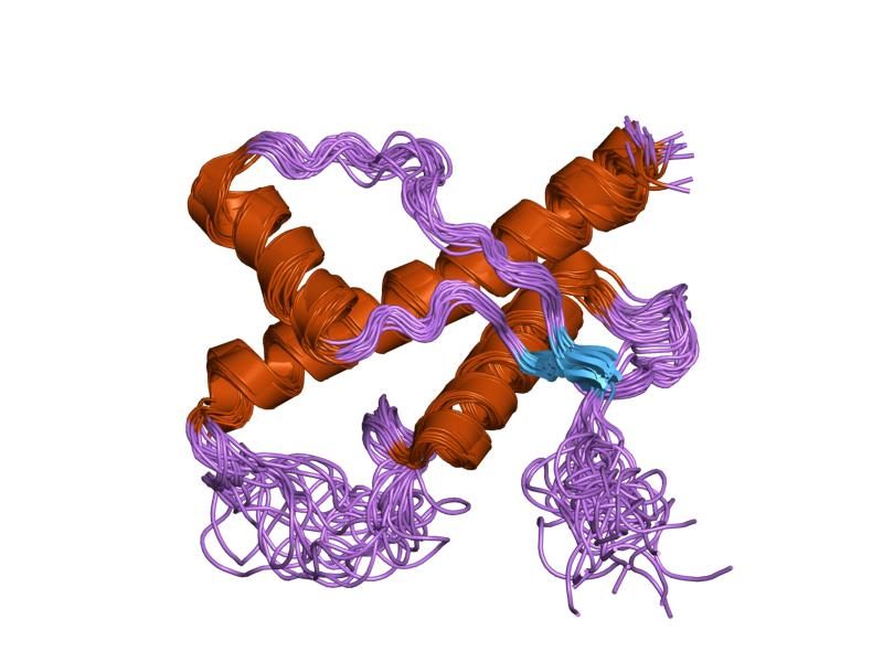 PDB 1u3m EBI