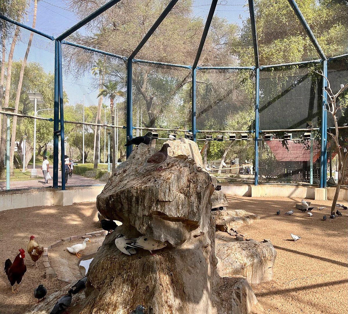 Bird enclosure in Mushrif Park
