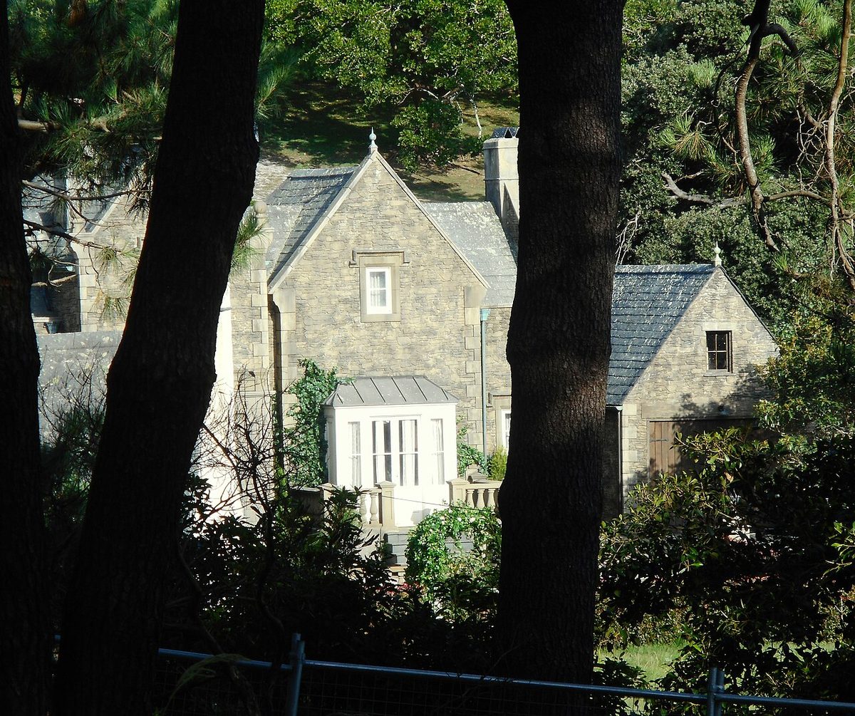 (1)Peter Rabbit movie set 001a
