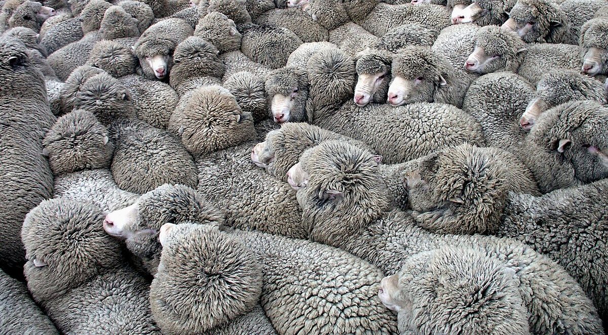 A close "knit" group.