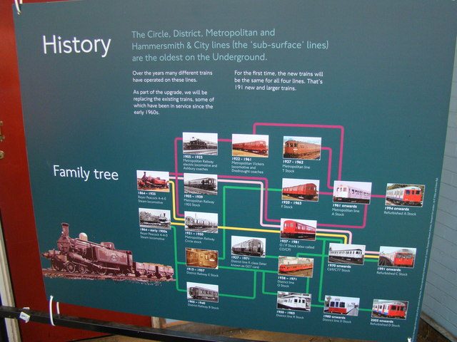 Family tree of the sub-surface lines