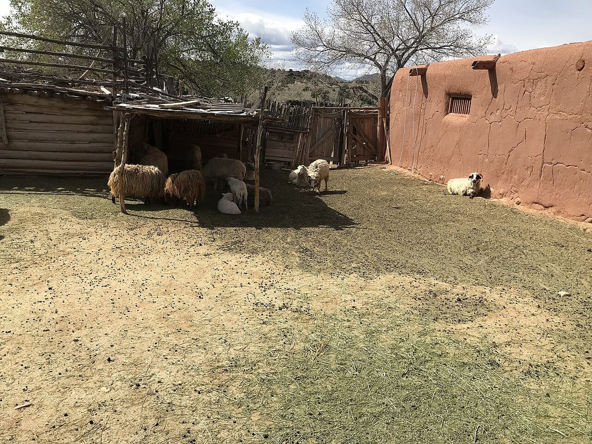 A sheep pin at El Rancho de las Golondrinas outside Santa Fe, NM (00d948f3-b70e-4cff-960f-2f3d2d01e91e)