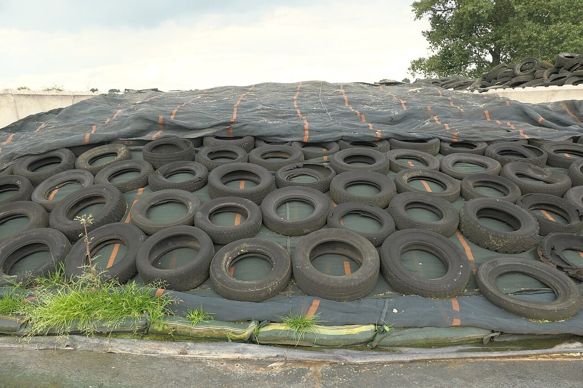 Kalkar-Bylerward Silage PM230828 01.jpg