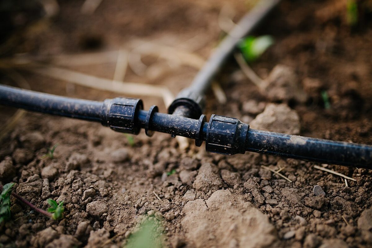 Drip irrigation system installed in a garden for efficient water management during summer