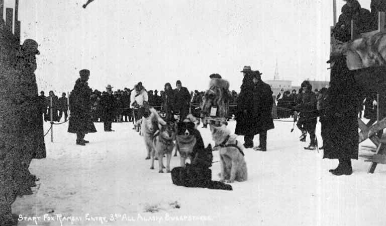 Start of Fox Ramsay's Siberian husky dog team entry, eventual second-place winners, at the 3rd All Alaska Sweepstakes, N