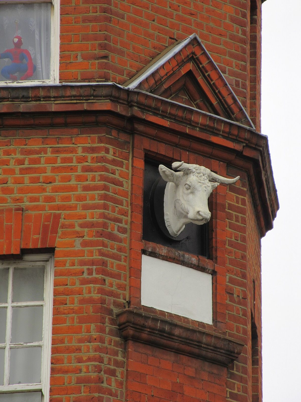 Cow head detail of Warrick Farm Dairy