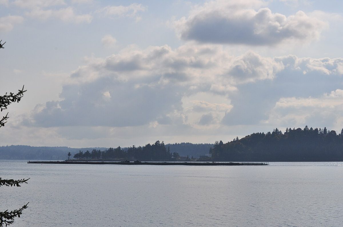 Fish farming in Rich Passage 01