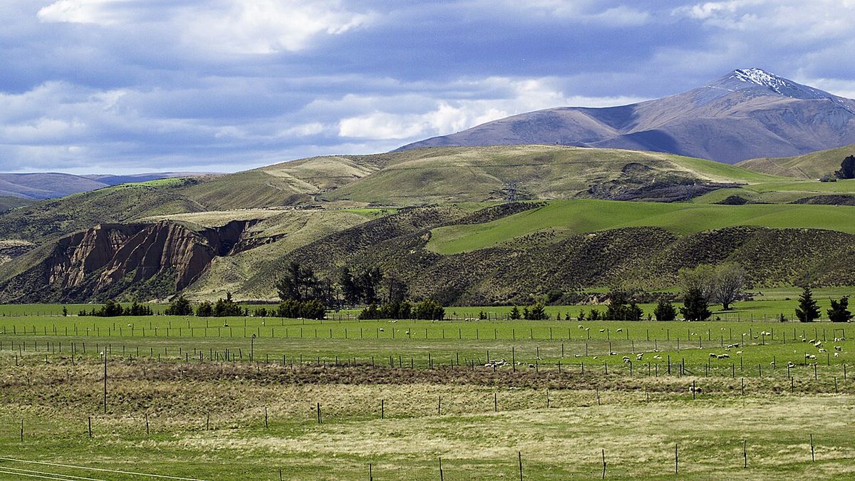 Maniototo Plain and Ida Range