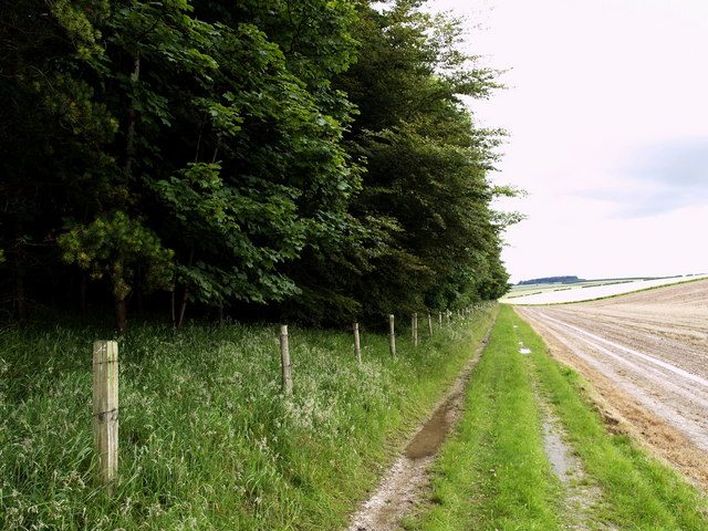The Wetwang to Huggate Path