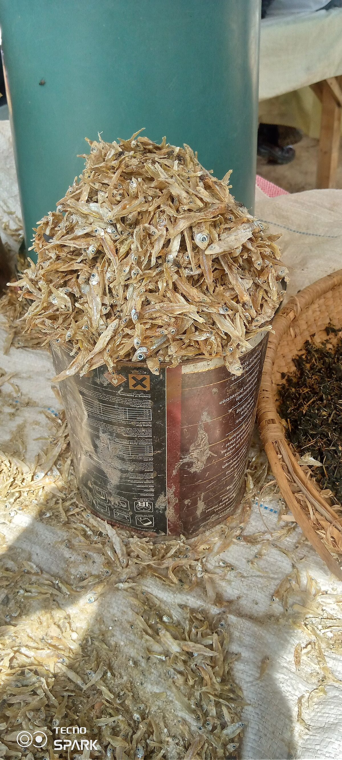 Selling Fish to Nigeria: A US Farmer's Practical Guide