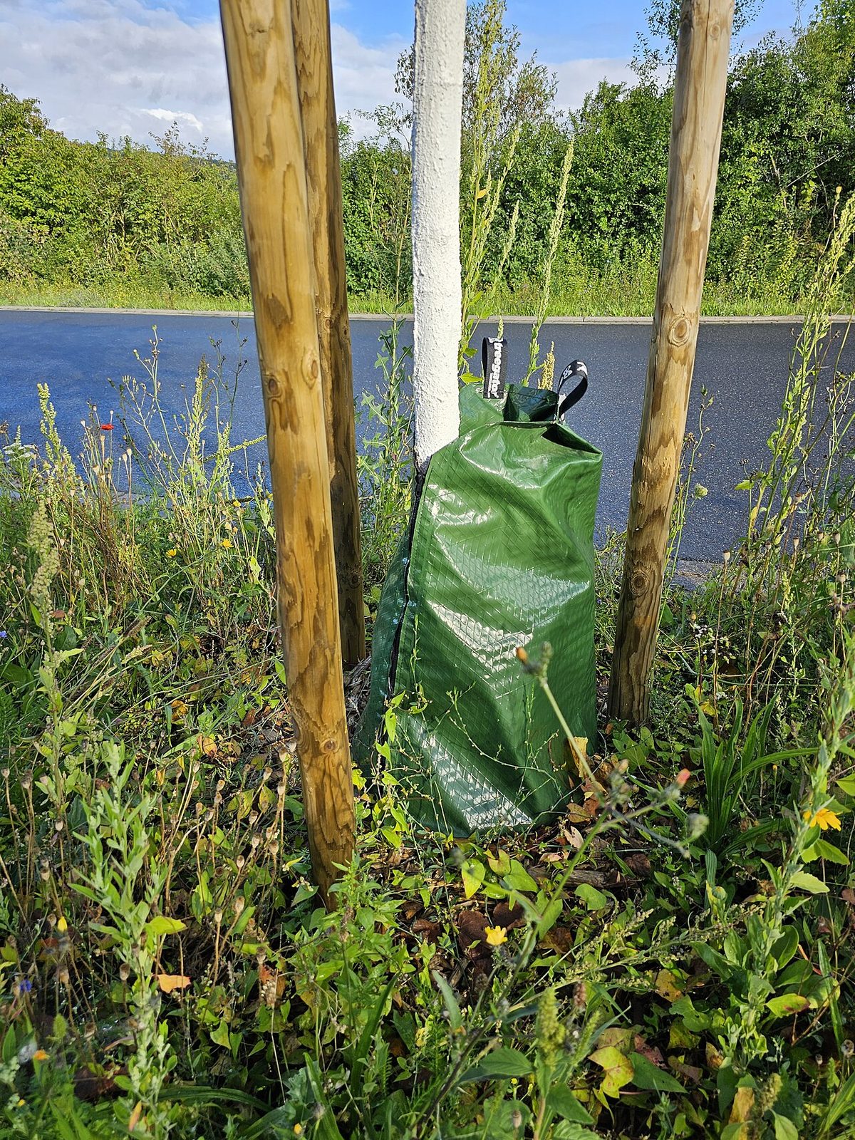 Small Farm Irrigation in Australia: A Practical Water Guide