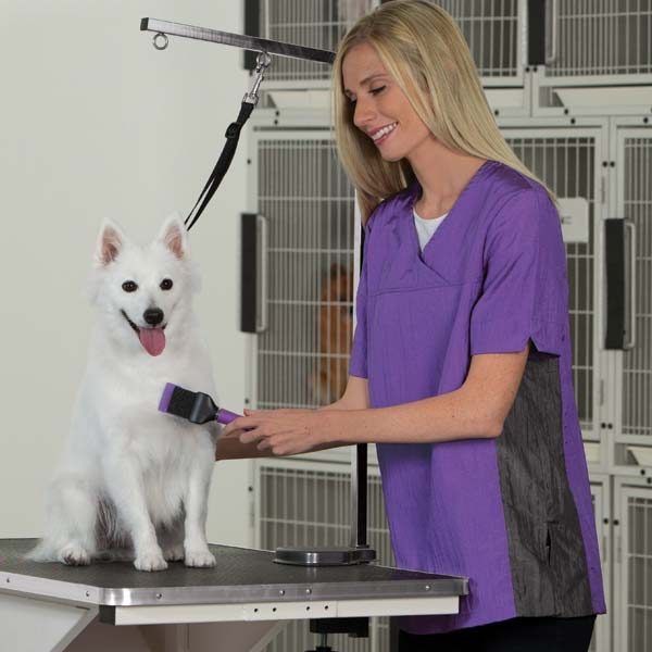 What PetSmart Grooming Offers — Services, History & How It Works