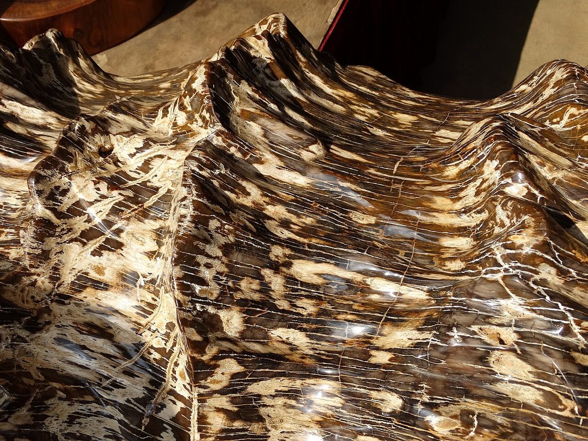 Wood Price Today in Myanmar: What Farmers Should Know