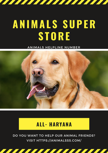 Animals Helpline In Haryana | Animals Super Store