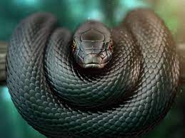 snake