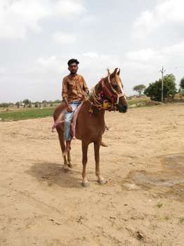 Seller in India