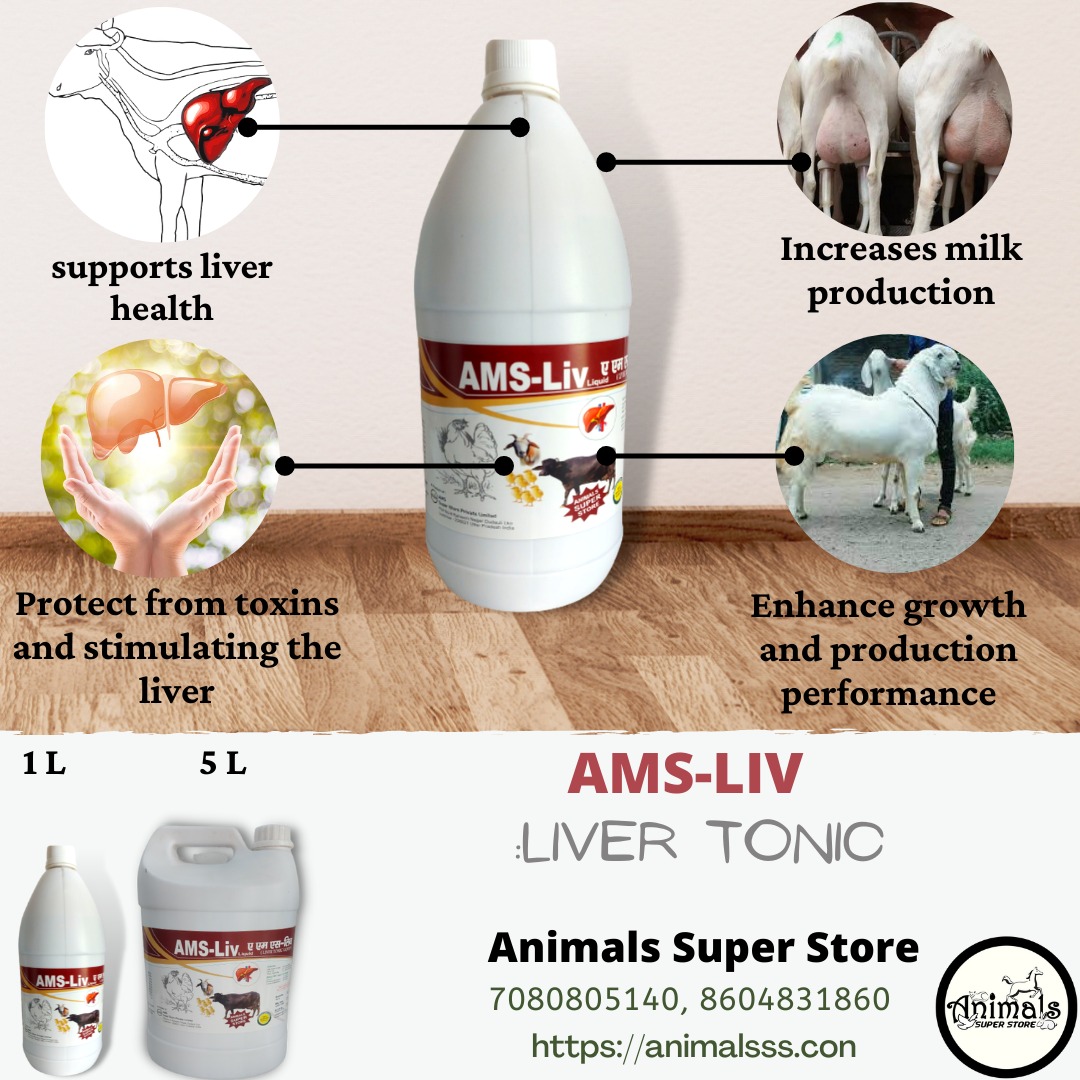 AMS - Liv ( Liver Tonic Liquid ) | Wholesale Food | Animals Super Store