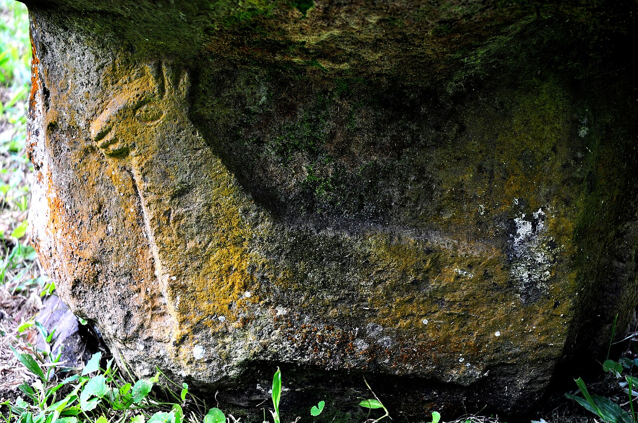 Marquesan Dog dog