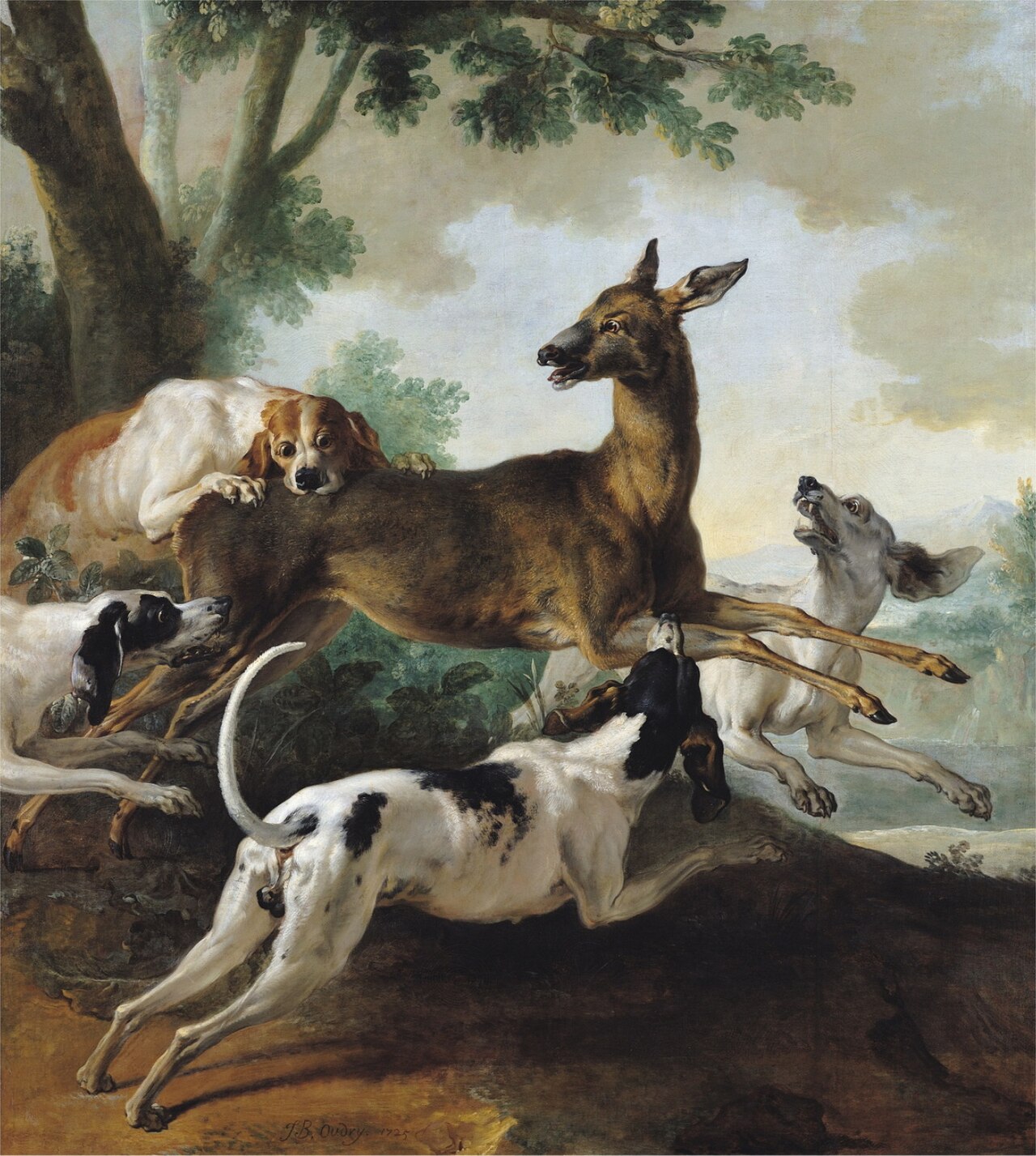 King's White Hound dog