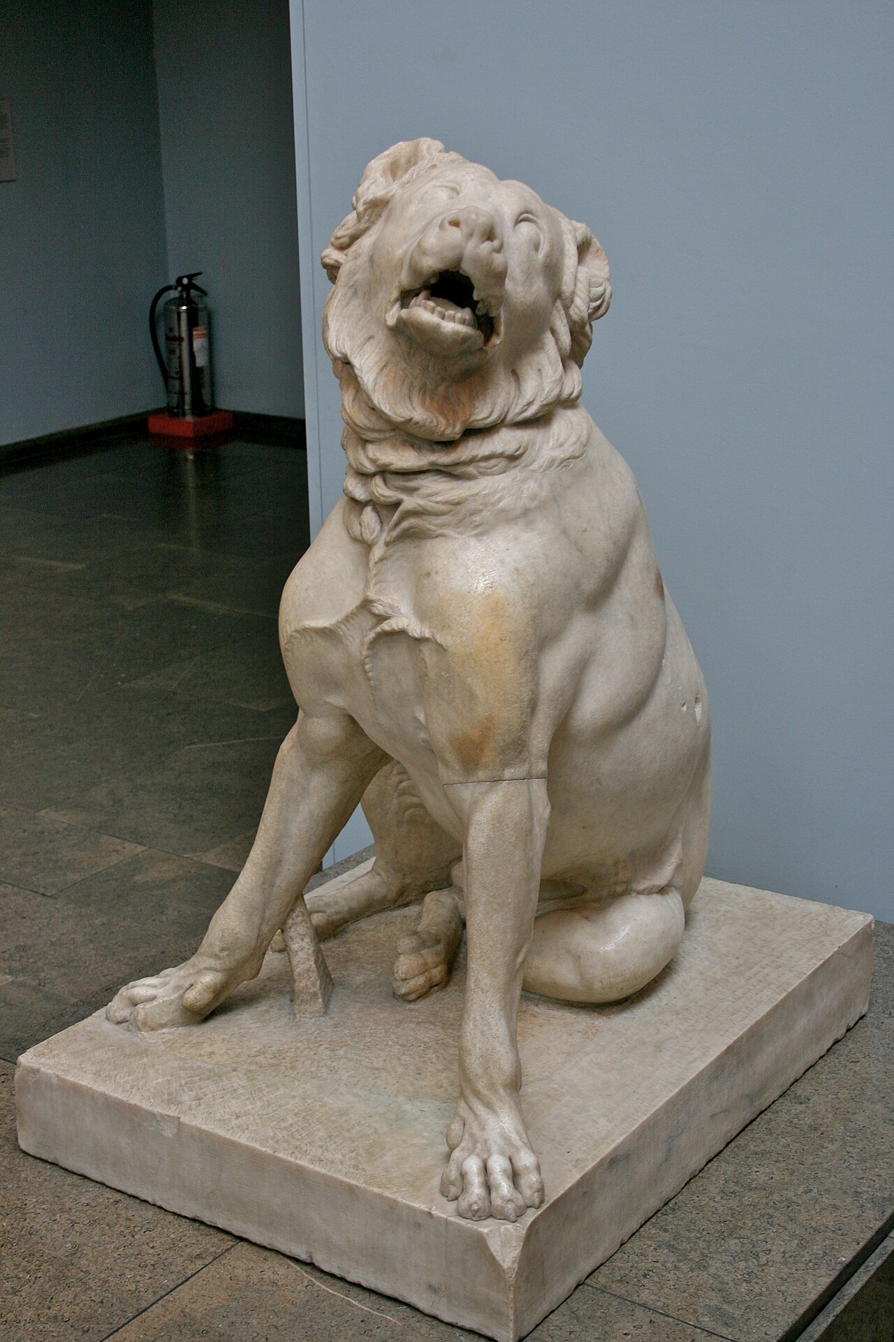 Molossian hound dog
